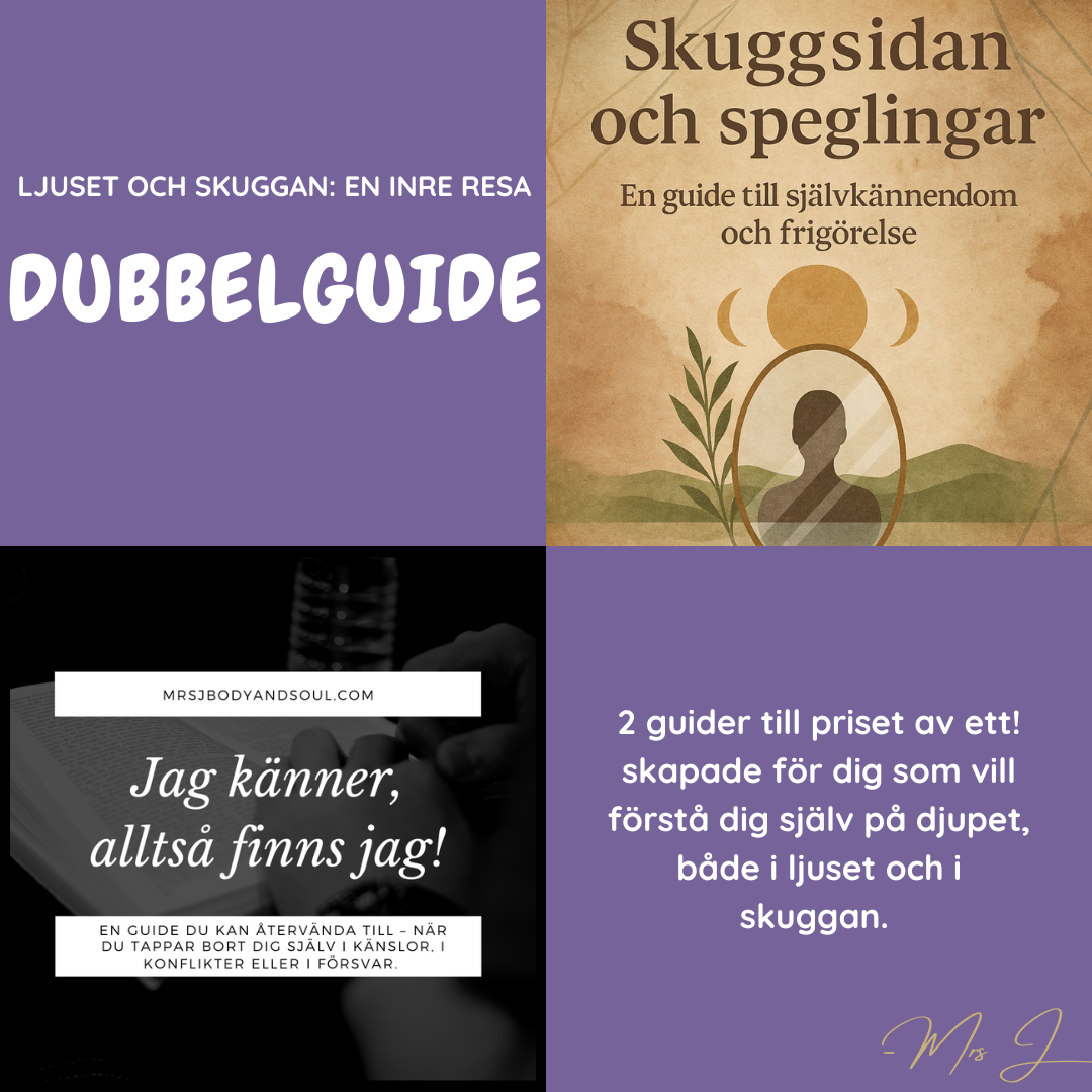 Ljuset och Skuggan: En inre resa – Dubbelguide