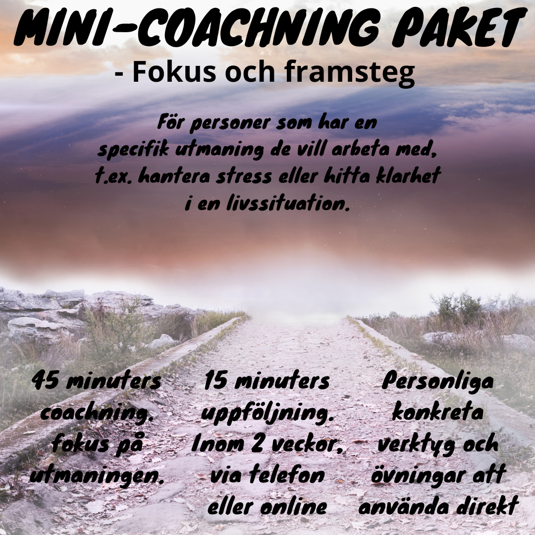 Mini coachning-paket